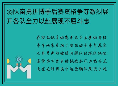 弱队奋勇拼搏季后赛资格争夺激烈展开各队全力以赴展现不屈斗志