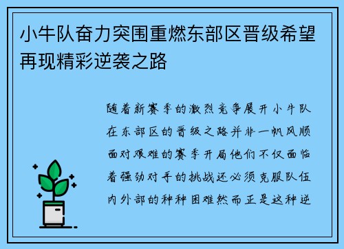 小牛队奋力突围重燃东部区晋级希望再现精彩逆袭之路