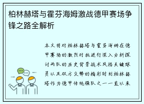 柏林赫塔与霍芬海姆激战德甲赛场争锋之路全解析